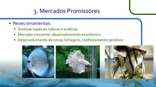 3. Mercados Promissores
●

Peixes ornamentais
●
●
●

Diversas espécies nativas e exóticas
Mercado crescente: desenvolvimento econômico
Desenvolvimento de novas linhagens: melhoramento genético

28

 
