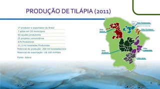PRODUÇÃO DE TILÁPIA (2011)
Porto do
Pecém Pólo

1º produtor e exportador do Brasil
7 pólos em 55 municípios

Pentecoste

Porto do Mucuripe

Pólo
Sobral

Pólo Fortaleza

60 açudes produtores
25 projetos comunitários
676 Produtores
21,3 mil toneladas Produzidas
Potencial de produção: 200 mil toneladas/ano
Potencial de exportação: U$ 100 milhões
Fonte: Adece

Pólo
Anabuiú

Pólo
Castanhão

Pólo Orós

6

 