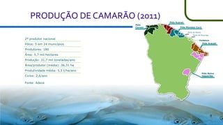 PRODUÇÃO DE CAMARÃO (2011)
Pólo
Coreaú

Pólo Acaraú
Pólo Mundaú Curú
Porto do Pecém
Porto do Mucuripe

2º produtor nacional
Pólos: 5 em 24 municípios

Fortaleza

Pólo Aracati

Produtores: 180
Área: 5,7 mil hectares
Produção: 31,7 mil toneladas/ano
Área/produtor (média): 36,31 ha
Produtividade média: 5,5 t/ha/ano
Ciclos: 2,6/ano

Pólo Baixo
Jaguaribe

Fonte: Adece

9

 