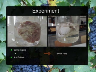 Experiment
Carne de porc
+ Dupa 3 zile
Acid Sulfuric
 