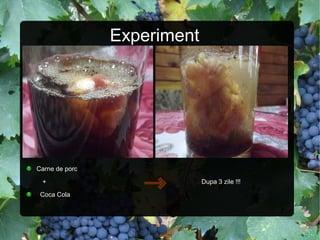 Experiment
Carne de porc
+ Dupa 3 zile !!!
Coca Cola
 