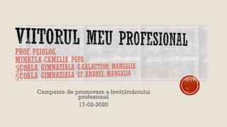 Campanie de promovare a învățământului
profesional
17-02-2020
 