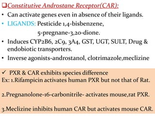 Constitutive Androstane Receptor(CAR):
• Can activate genes even in absence of their ligands.
• LIGANDS: Pesticide 1,4-bisbenzene,
             5-pregnane-3,20-dione.
• Induces CYP2B6, 2C9, 3A4, GST, UGT, SULT, Drug &
  endobiotic transporters.
• Inverse agonists-androstanol, clotrimazole,meclizine

 PXR & CAR exhibits species difference
Ex: 1.Rifampicin activates human PXR but not that of Rat.

2.Pregnanolone-16-carbonitrile- activates mouse,rat PXR.

3.Meclizine inhibits human CAR but activates mouse CAR.
 