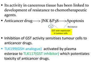  Its activity in cancerous tissue has been linked to
  development of resistance to chemotherapeutic
  agents.
 Anticancer drug----> JNK &P38---->Apoptosis
                               -         Resistance
                               GST over expression
                                 In tumour cells

 Inhibition of GST activity sensitises tumour cells to
  anticancer drugs.
 TLK199(GSH analogue) activated by plasma
  esterase to TLK117(GST inhibitor) which potentiates
  toxicity of anticancer drugs.
 