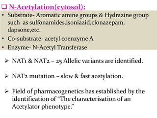  N-Acetylation(cytosol):
• Substrate- Aromatic amine groups & Hydrazine group
  such as sulfonamides,isoniazid,clonazepam,
  dapsone,etc.
• Co-substrate- acetyl coenzyme A
• Enzyme- N-Acetyl Transferase

 NAT1 & NAT2 – 25 Allelic variants are identified.

 NAT2 mutation – slow & fast acetylation.

 Field of pharmacogenetics has established by the
  identification of “The characterisation of an
  Acetylator phenotype.”
 