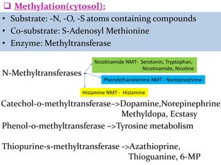  Methylation(cytosol):
• Substrate: -N, -O, -S atoms containing compounds
• Co-substrate: S-Adenosyl Methionine
• Enzyme: Methyltransferase

                         Nicotinamide NMT- Serotonin, Tryptophan,
                                            Nicotinamide, Nicotine
N-Methyltransferases -
                            Phenylethanolamine NMT - Norepinephrine

                    Histamine NMT - Histamine

Catechol-o-methyltransferase–>Dopamine,Norepinephrine,
                              Methyldopa, Ecstasy
Phenol-o-methyltransferase –>Tyrosine metabolism

Thiopurine-s-methyltransferase ->Azathioprine,
                                 Thioguanine, 6-MP
 