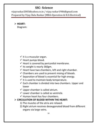 SSC- Science
vijayraskar2003@yahoo.co.in / vijay.raskar1986@gmail.com
Prepared by Vijay Balu Raskar (MBA-Operation & B.E.Electrical)


   HEART:
    Diagram:




       It is a muscular organ.
       Heart pumps blood.
       Heart is covered by pericardial membrane.
       Its weight is nearly 360gm.
       Heart have two chambers, left and right chamber.
       Chambers are used to prevent mixing of bloods.
       Separation of blood is essential for high energy.
       It is used to maintain body temperature.
       Each chamber is divided into two chambers. Upper and
         lower
       Upper chamber is called atrium.
       Lower chamber is called as ventricle.
       Human heart has four chambers.
   CIRCULATION OF BLOOD WITHIN THE HEART:
      1) The muscles of the atria are relaxed.
      2) Right atrium receives deoxygenated blood from different
         organs via large veins.
                                59
 