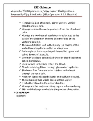 SSC- Science
vijayraskar2003@yahoo.co.in / vijay.raskar1986@gmail.com
Prepared by Vijay Balu Raskar (MBA-Operation & B.E.Electrical)


       It includes a pair of kidneys, pair of ureters, urinary
         bladder and urethra.
       Kidneys remove the waste products from the blood and
         urine.
       Kidneys are two bean shaped structures located at the
         back of the abdomen and one on either side of the
         vertebral column.
       The main filtration unit in the kidney is a cluster of thin
         walled blood capillaries called as a Nephron.
       Each nephron has a cup shaped thin walled upper end
         called Bowman’s capsule.
       Bowman’s capsule contains a bundle of blood capillaries
         called glomerulus.
       Urea formed in the liver enters the blood.
       Blood containing filters through glomerular capillaries.
       The blood free from materials is taken to the heart
         through the renal vein.
       Nephron tubule reabsorbs water and useful molecules.
       The remaining fluid waste goes out from ureter.
       It is further stored in the urinary bladder.
       Kidneys are the major excretory organs in human being.
       Skin and the lungs also help in the process of excretion.
   A NEPHRON:
    Diagram:



                                61
 