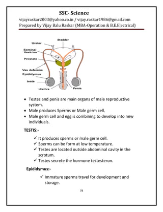 SSC- Science
vijayraskar2003@yahoo.co.in / vijay.raskar1986@gmail.com
Prepared by Vijay Balu Raskar (MBA-Operation & B.E.Electrical)




   Testes and penis are main organs of male reproductive
    system.
   Male produces Sperms or Male germ cell.
   Male germ cell and egg is combining to develop into new
    individuals.
  TESTIS:-
        It produces sperms or male germ cell.
        Sperms can be form at low temperature.
        Testes are located outside abdominal cavity in the
         scrotum.
        Testes secrete the hormone testesteron.
   Epididymus:-
              Immature sperms travel for development and
               storage.
                                78
 