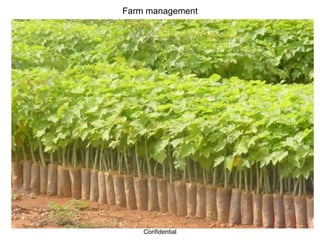 Farm management 
