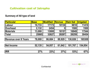 Cultivation cost of Jatropha Cultivation   cost of Jatropha 