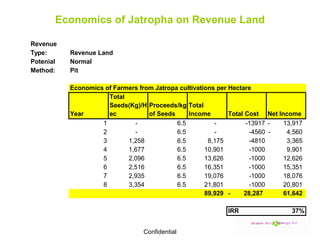 Economics of Jatropha on Revenue Land 