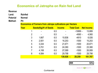 Economics of Jatropha on Rain fed Land 
