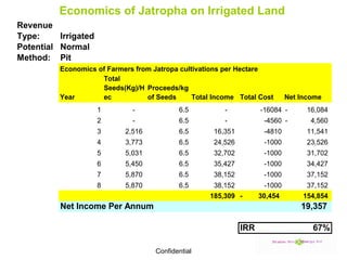 Economics of Jatropha on Irrigated Land 