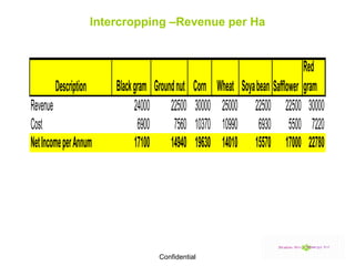 Intercropping –Revenue per Ha 