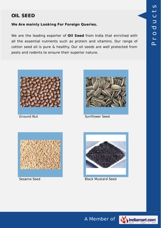 A Member of
OIL SEED
We Are mainly Looking For Foreign Queries.
We are the leading exporter of Oil Seed from India that enriched with
all the essential nutrients such as protein and vitamins. Our range of
cotton seed oil is pure & healthy. Our oil seeds are well protected from
pests and rodents to ensure their superior nature.
Ground Nut Sunflower Seed
Sesame Seed Black Mustard Seed
Products
 