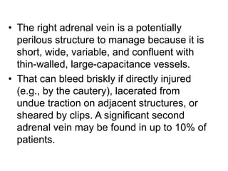 • The right adrenal vein is a potentially
perilous structure to manage because it is
short, wide, variable, and confluent with
thin-walled, large-capacitance vessels.
• That can bleed briskly if directly injured
(e.g., by the cautery), lacerated from
undue traction on adjacent structures, or
sheared by clips. A significant second
adrenal vein may be found in up to 10% of
patients.
 