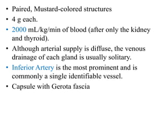 • Paired, Mustard-colored structures
• 4 g each.
• 2000 mL/kg/min of blood (after only the kidney
and thyroid).
• Although arterial supply is diffuse, the venous
drainage of each gland is usually solitary.
• Inferior Artery is the most prominent and is
commonly a single identifiable vessel.
• Capsule with Gerota fascia
 