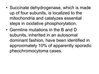 • Succinate dehydrogenase, which is made
up of four subunits, is localized to the
mitochondria and catalyzes essential
steps in oxidative phosphorylation.
• Germline mutations in the B and D
subunits, inherited in an autosomal
dominant fashion, have been identified in
approximately 10% of apparently sporadic
pheochromocytoma cases.
 
