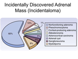 Incidentally Discovered Adrenal
Mass (Incidentaloma)
 