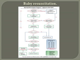 Vijayalakshmi Pillai Labor Room Protocols 