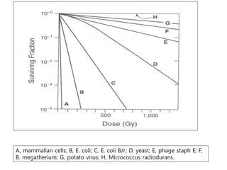 cell survival curve | PPTX