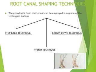 ROOT CANAL SHAPING TECHNIQUES
 The endodontic hand instrument can be employed in any one of the
techniques such as
STEP BACK TECHNIQUE CROWN DOWN TECHNIQUE
HYBRID TECHNIQUE
 