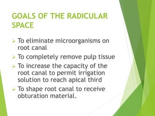 GOALS OF THE RADICULAR
SPACE
 To eliminate microorganisms on
root canal
 To completely remove pulp tissue
 To increase the capacity of the
root canal to permit irrigation
solution to reach apical third
 To shape root canal to receive
obturation material.
 