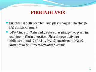 FIBRINOLYSIS

Endothelial cells secrete tissue plasminogen activator (t-
 PA) at sites of injury.
 t-PA binds to fibrin and cleaves plasminogen to plasmin,
 resulting in fibrin digestion. Plasminogen activator
 inhibitors-1 and -2 (PAI-1, PAI-2) inactivate t-PA; a2-
 antiplasmin (a2-AP) inactivates plasmin.




                                                              30
 