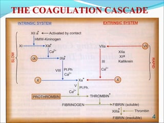 THE COAGULATION CASCADE




                          4
 