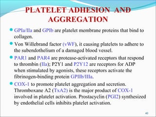 PLATELET ADHESION AND
           AGGREGATION
GPIa/IIa and GPIb are platelet membrane proteins that bind to
 collagen.
Von Willebrand factor (vWF), it causing platelets to adhere to
 the subendothelium of a damaged blood vessel.
PAR1 and PAR4 are protease-activated receptors that respond
 to thrombin (IIa); P2Y1 and P2Y12 are receptors for ADP
 when stimulated by agonists, these receptors activate the
 fibrinogen-binding protein GPIIb/IIIa.
COX-1 to promote platelet aggregation and secretion.
 Thromboxane A2 (TxA2) is the major product of COX-1
 involved in platelet activation. Prostacyclin (PGI2) synthesized
 by endothelial cells inhibits platelet activation.
                                                                 40
 