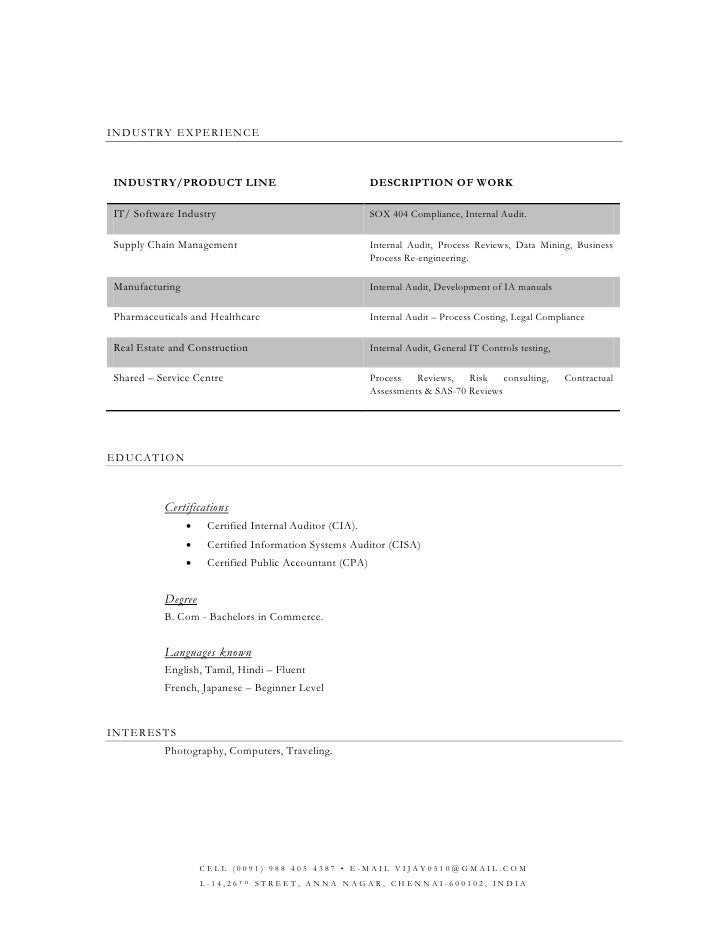 auditor cv