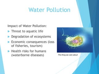 Impact of Water Pollution:
 Threat to aquatic life
 Degradation of ecosystems
 Economic consequences (loss
of fisheries, tourism)
 Health risks for humans
(waterborne diseases)
Water Pollution
The thing we care about
 