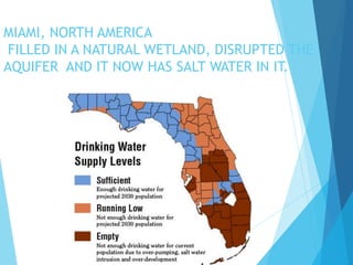 MIAMI, NORTH AMERICA
FILLED IN A NATURAL WETLAND, DISRUPTED THE
AQUIFER AND IT NOW HAS SALT WATER IN IT.
 