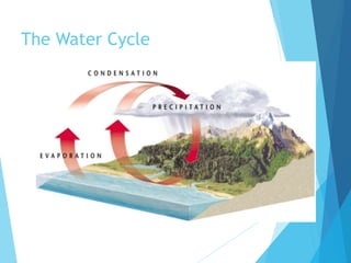 The Water Cycle
 
