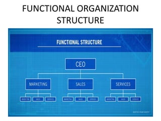 FUNCTIONAL ORGANIZATION
STRUCTURE
 