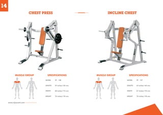 CHEST PRESS MACHINE AND MOTORIZED TREADMILL By Vijayvant Sports & Fitness (P) Limited