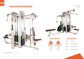 CHEST PRESS MACHINE AND MOTORIZED TREADMILL By Vijayvant Sports & Fitness (P) Limited