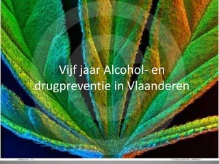 Vijf jaar Alcohol- en drugpreventie in Vlaanderen,[object Object]