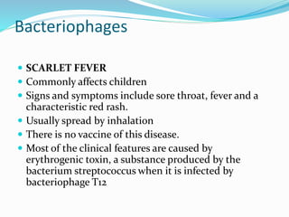 Bacteriophages
 SCARLET FEVER
 Commonly affects children
 Signs and symptoms include sore throat, fever and a
characteristic red rash.
 Usually spread by inhalation
 There is no vaccine of this disease.
 Most of the clinical features are caused by
erythrogenic toxin, a substance produced by the
bacterium streptococcus when it is infected by
bacteriophage T12
 