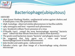 Bacteriophage(ubiquitous)
HISTORY
 1896 Ernest Hanburg Hankin –antibacterial action against cholera and
it could pass a very fine porcelain filter.
 1898, Gamalega –observed similar phenomenon in bacillus subtilis
 1984-samsygina and boni –reported such phenomeon.
 1915- ferederick william Twort-presence of a virus
 D’Herelle (1917) coined the term bacteriophage meaning” bacteria
eater” (observed that filtrate from feces culture from dysentry)
 The greek word backerion means “bacteria” and phagein means “to eat”
 He suggested that lytic agent was a virus and named
bacteriophage(twort-d herelle phenomenon)
 Jules bordet and andre grata –rediscovered it
 Salvador e.luria –get clear image of a bacteriophage using electron
microscope
 