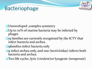 Bacteriophage
Unenveloped ,complex symnetry
Up to 70% of marine bacteria may be infected by
phages
19 families are currently recognized by the ICTV that
infect bacteria and archea.
9families infect bacteria only
9 infect archea only, and one (tectiviridae) infects both
bacteria and archea.
Two life cycles ,lytic (virulent)or lysogenic (temperate)
 