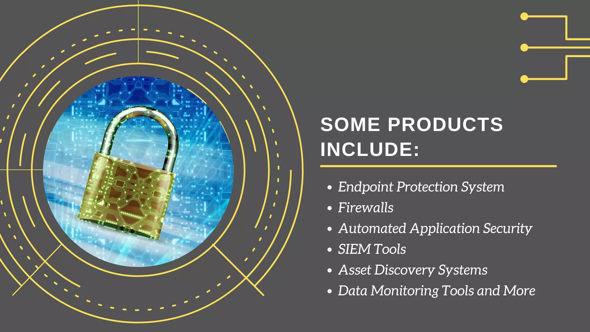 SOME PRODUCTS
INCLUDE:
Endpoint Protection System
Firewalls
Automated Application Security
SIEM Tools
Asset Discovery Systems
Data Monitoring Tools and More
 