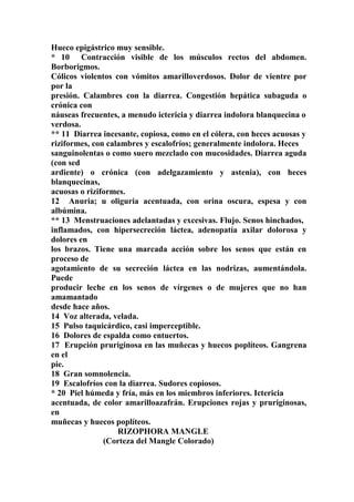 Hueco epigástrico muy sensible.
* 10 Contracción visible de los músculos rectos del abdomen.
Borborigmos.
Cólicos violentos con vómitos amarilloverdosos. Dolor de vientre por
por la
presión. Calambres con la diarrea. Congestión hepática subaguda o
crónica con
náuseas frecuentes, a menudo ictericia y diarrea indolora blanquecina o
verdosa.
** 11 Diarrea incesante, copiosa, como en el cólera, con heces acuosas y
riziformes, con calambres y escalofríos; generalmente indolora. Heces
sanguinolentas o como suero mezclado con mucosidades. Diarrea aguda
(con sed
ardiente) o crónica (con adelgazamiento y astenia), con heces
blanquecinas,
acuosas o riziformes.
12 Anuria; u oliguria acentuada, con orina oscura, espesa y con
albúmina.
** 13 Menstruaciones adelantadas y excesivas. Flujo. Senos hinchados,
inflamados, con hipersecreción láctea, adenopatía axilar dolorosa y
dolores en
los brazos. Tiene una marcada acción sobre los senos que están en
proceso de
agotamiento de su secreción láctea en las nodrizas, aumentándola.
Puede
producir leche en los senos de vírgenes o de mujeres que no han
amamantado
desde hace años.
14 Voz alterada, velada.
15 Pulso taquicárdico, casi imperceptible.
16 Dolores de espalda como entuertos.
17 Erupción pruriginosa en las muñecas y huecos poplíteos. Gangrena
en el
pie.
18 Gran somnolencia.
19 Escalofríos con la diarrea. Sudores copiosos.
* 20 Piel húmeda y fría, más en los miembros inferiores. Ictericia
acentuada, de color amarilloazafrán. Erupciones rojas y pruriginosas,
en
muñecas y huecos poplíteos.
RIZOPHORA MANGLE
(Corteza del Mangle Colorado)
 