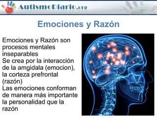 Emociones y Razón
Emociones y Razón son
procesos mentales
inseparables
Se crea por la interacción
de la amgidala (emocion),
la corteza prefrontal
(razón)
Las emociones conforman
de manera más importante
la personalidad que la
razón
 