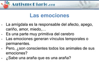 Las emociones
• La amígdala es la responsable del afecto, apego,
cariño, amor, miedo,…
• Es una parte muy primitiva del cerebro
• Las emociones generan vínculos temporales o
permanentes.
• Pero, ¿son conscientes todos los animales de sus
emociones?
• ¿Sabe una araña que es una araña?
 
