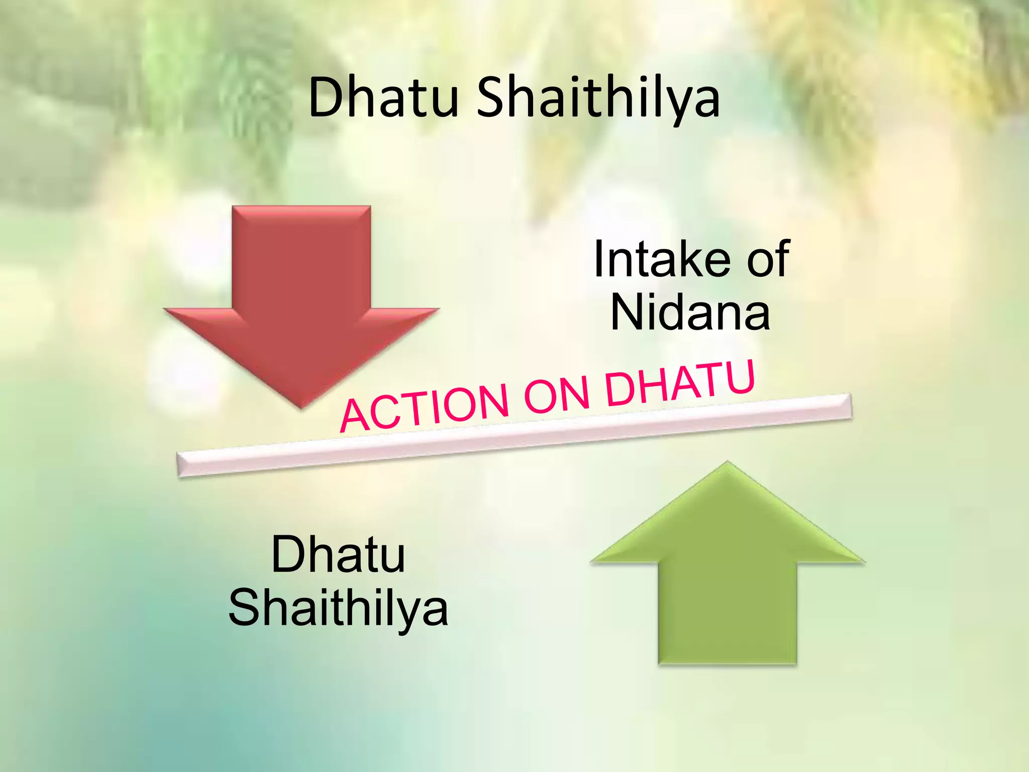 Dhatu Shaithilya
Intake of
Nidana
Dhatu
Shaithilya
 