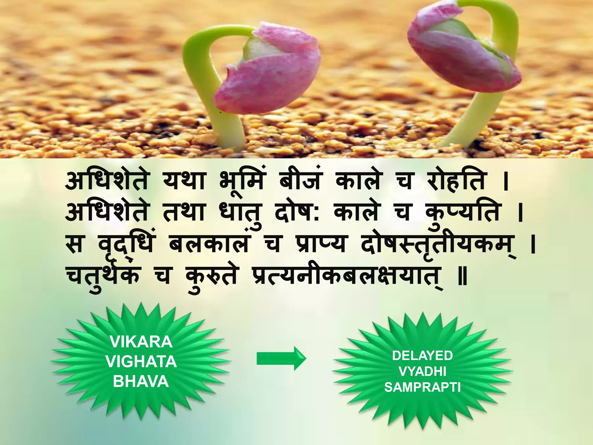अधिशेते यथा भूम िं बीजिं काले च रोहतत ।
अधिशेते तथा िातु दोष: काले च कु प्यतत ।
स वृदधििं बलकालिं च प्राप्य दोषस्तृतीयक ।
चतुथथकिं च कु रुते प्रत्यनीकबलक्षयात ॥
VIKARA
VIGHATA
BHAVA
DELAYED
VYADHI
SAMPRAPTI
 
