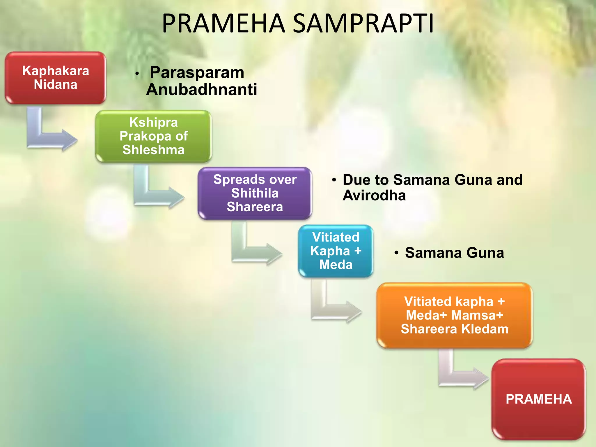PRAMEHA SAMPRAPTI
Kaphakara
Nidana
• Parasparam
Anubadhnanti
Kshipra
Prakopa of
Shleshma
Spreads over
Shithila
Shareera
• Due to Samana Guna and
Avirodha
Vitiated
Kapha +
Meda
• Samana Guna
Vitiated kapha +
Meda+ Mamsa+
Shareera Kledam
PRAMEHA
 