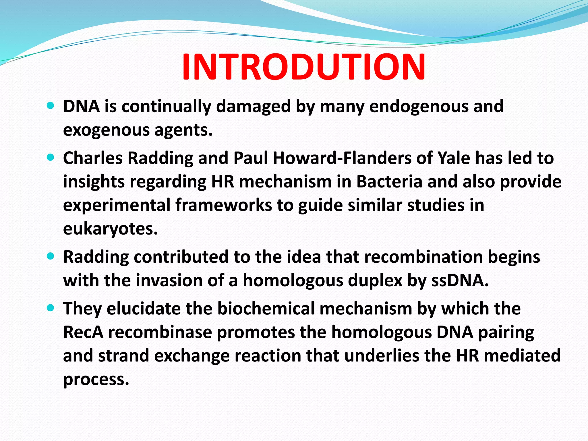 Homologous Recombination Pathway Investigation | PPTX | Genetics | Science